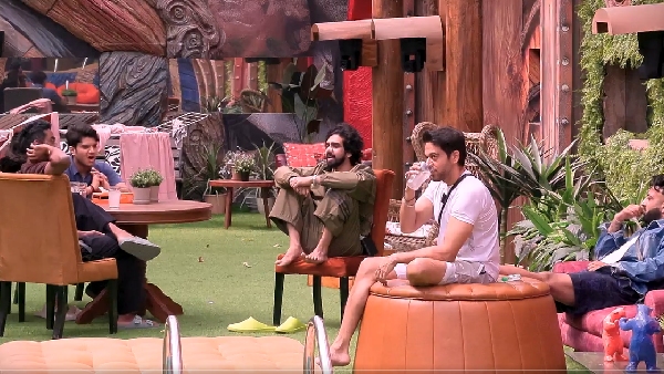 Bigg Boss 19 Mid Week Elimination Update