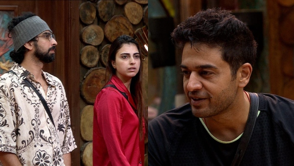 Bigg Boss 19 Voting List Week 13 Update