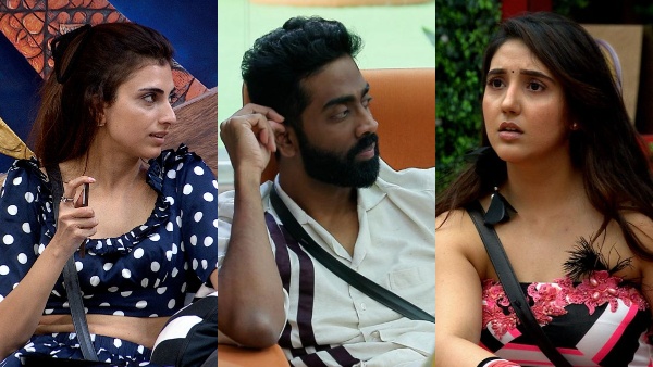 Bigg Boss 19 Eviction Week 13 Bigg Boss 19 Eviction Week 13