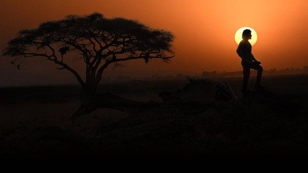 Globetrotter Event OTT How To Watch Live Online