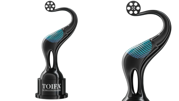 TOIFA 2025 A grand celebration of cinema