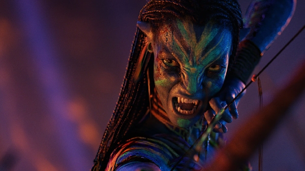 Avatar Fire And Ash Box Office Day 2 Hindi