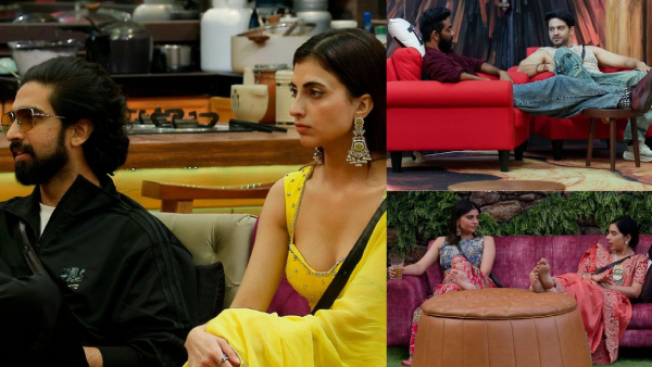 Bigg Boss 19 Winner Early Prediction