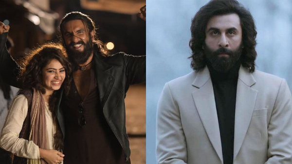 Dhurandhar Box Office Collection Day 17