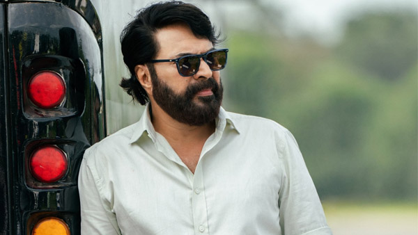 Mammootty s Last 5 Movies Box Office Performance