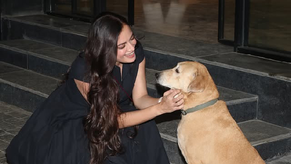 Dia Mirza s Pawsome Moment with a Street Dog Dia Mirza s Pawsome Moment with a Street Dog
