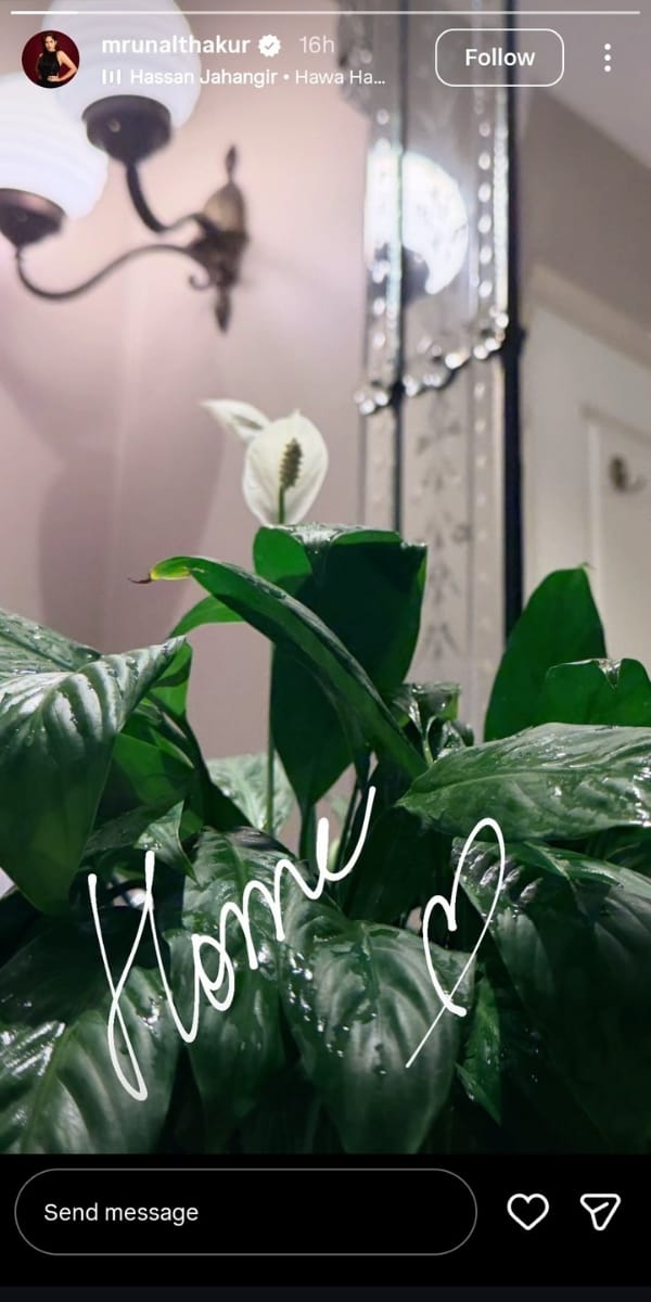 Mrunal Thakur Instagram