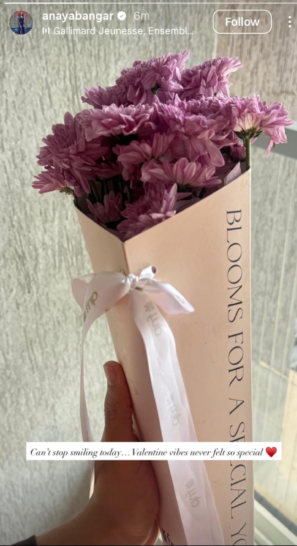 Anaya Bangar s Valentine s Day Story Sparks Dating Buzz