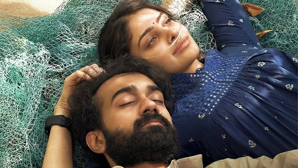 Santosh Soban s Couple Friendly Box Office Collection Day 11