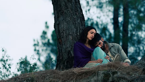 O Romeo Box Office Collection Day 3 O Romeo Box Office Collection Day 3