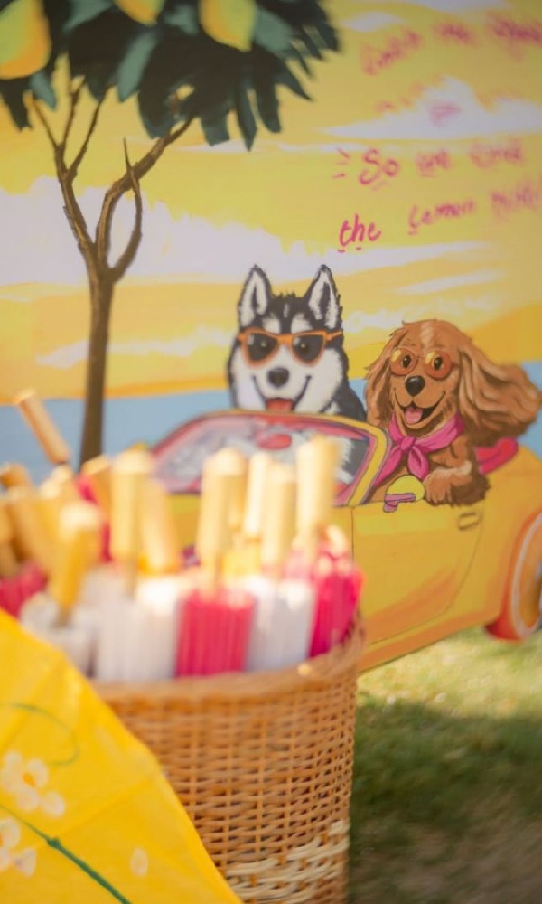 Rashmika Mandanna Shares Inside Glimpse Of Her Haldi Rashmika Mandanna Shares Inside Glimpse Of Her Haldi