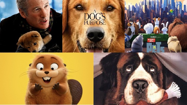 5 Films That Captured The Magic Between Humans 5 Films That Captured The Magic Between Humans