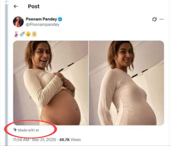 Poonam Pandey Baby Bump