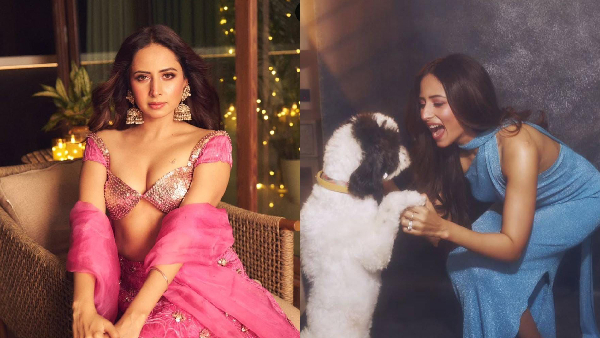 How Sargun Mehta Defined A Decade Of Punjabi Blockbusters