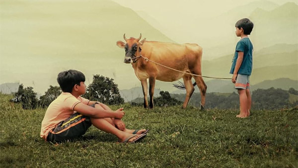 Valavaara OTT Release And Streaming Details Valavaara OTT Release And Streaming Details