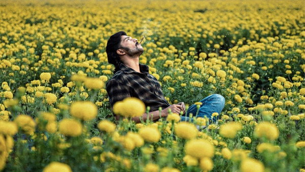 Kichcha Sudeep Announces Mango Pachcha Release Date Kichcha Sudeep Announces Mango Pachcha Release Date