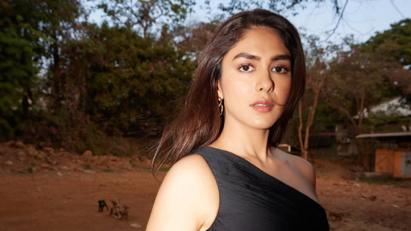 Mrunal Thakur Reflects On Her Journey Amid Dacoit Success