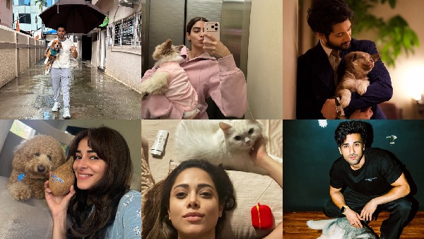 National Pet Day Bollywood Stars amp amp Their Favourite Beings