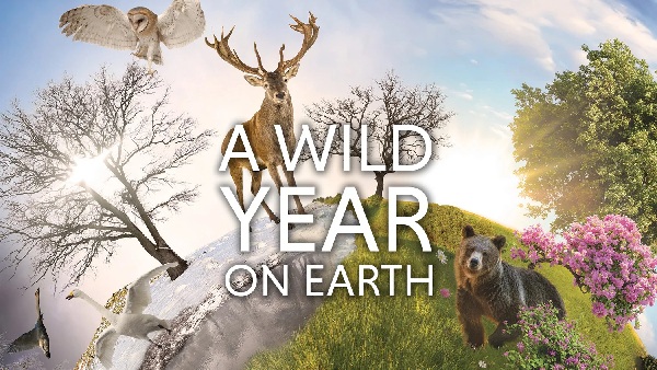 Earth Day 2026 See The Planet The Way It s Meant To Be Seen