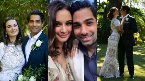 Evelyn Sharma Tushaan Bhindi Divorce Evelyn Sharma Tushaan Bhindi Divorce