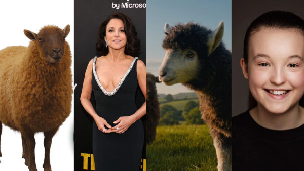 The Sheep Detectives From Julia Louis Dreyfus The Sheep Detectives From Julia Louis Dreyfus