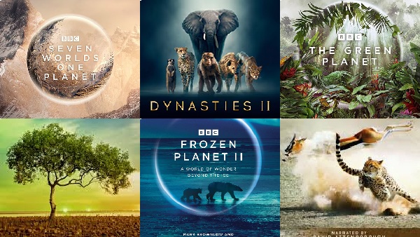 100 Years Of Sir David Attenborough 8 Must-Watch Nature 100 Years Of Sir David Attenborough 8 Must-Watch Nature