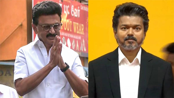 Vijay-Stalin Meeting Today What To Expect Vijay-Stalin Meeting Today What To Expect