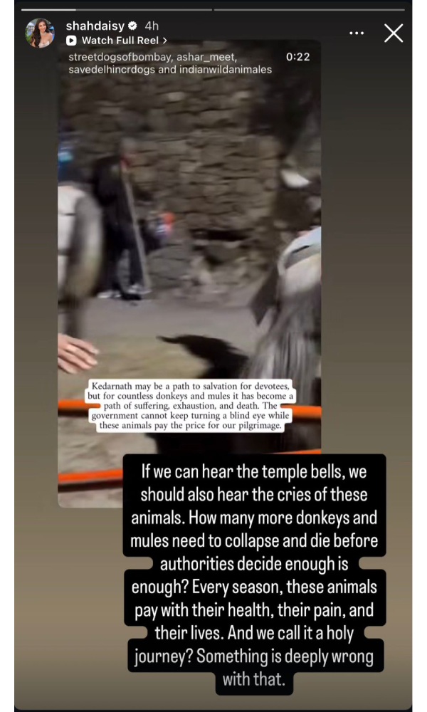 Actress Daisy Shah Advocates For Humane Treatment of Animals Actress Daisy Shah Advocates For Humane Treatment of Animals