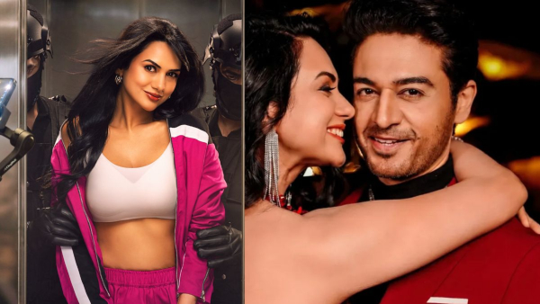 Gaurav Khanna-Akanksha Chamola Divorce Reason Did Couple Get Separated During Bigg Boss 19 Lock Upp 2 Update