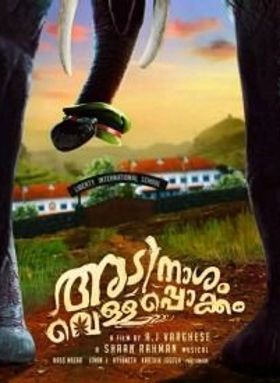 അടിനാശം വെള്ളപൊക്കം