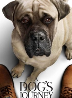 A Dog's Journey