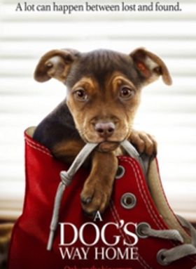 A Dog's Way Home