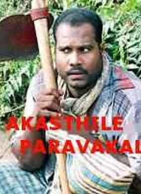 Akasthile Paravakal