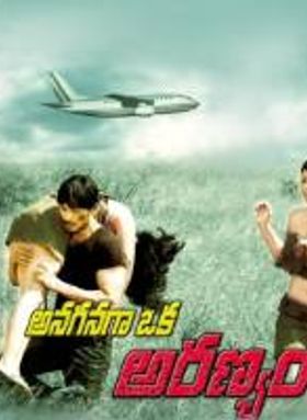 Anaganaga Oka Aranyam