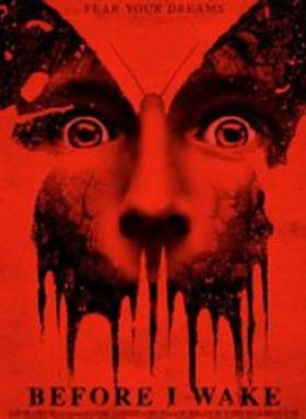 Before I Wake