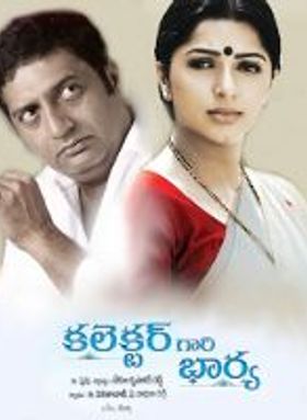 Collector Gaari Bharya