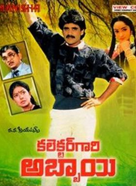 Collector Gari Abbai