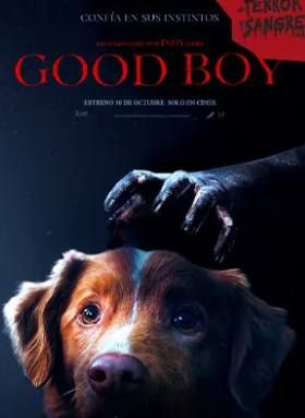 Good Boy