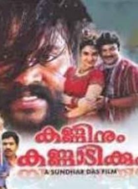 കണ്ണിനും കണ്ണാടിക്കും