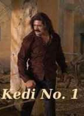 Kedi No. 1