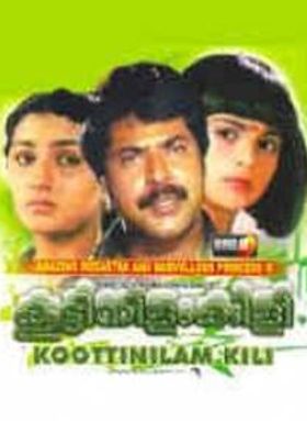 കൂട്ടിനിളംകിളി