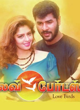 Love Birds