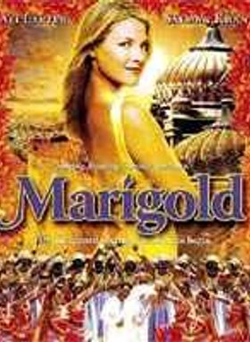 Marigold