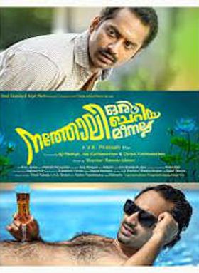 നത്തോലി ഒരു ചെറിയ മീനല്ല