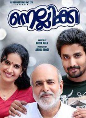 നെല്ലിക്ക