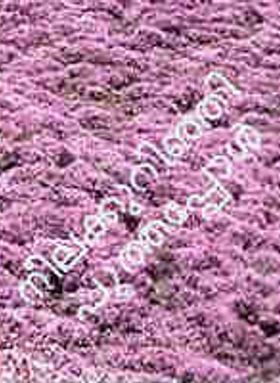 Nilakurinhi Poothappol