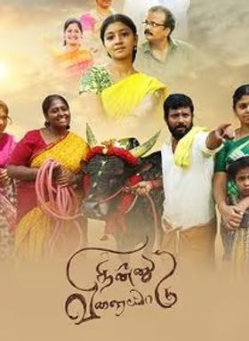 Ninnu Vilayadu