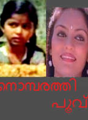 Nombarathi Poovu
