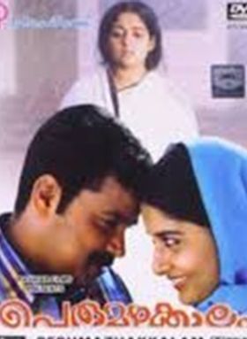 പെരുമഴക്കാലം