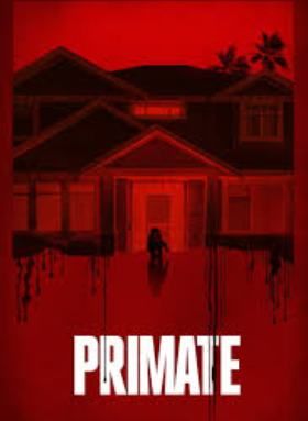 Primate